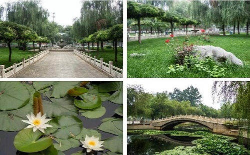 石家莊鐵路中專學校哪個口碑好？