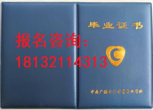 電大中?？荚囋趺崔k