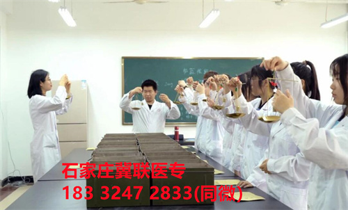 石家莊冀聯(lián)醫(yī)學(xué)院2024年護(hù)理專業(yè)學(xué)費(fèi)介紹