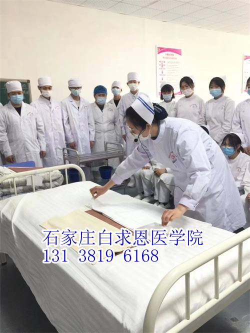 河北對口高考和對口單招有什么不同？